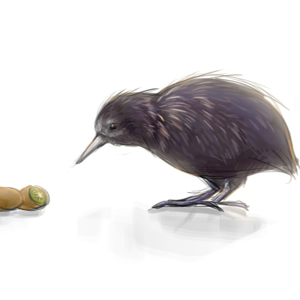 Kiwi is a bird and fruit