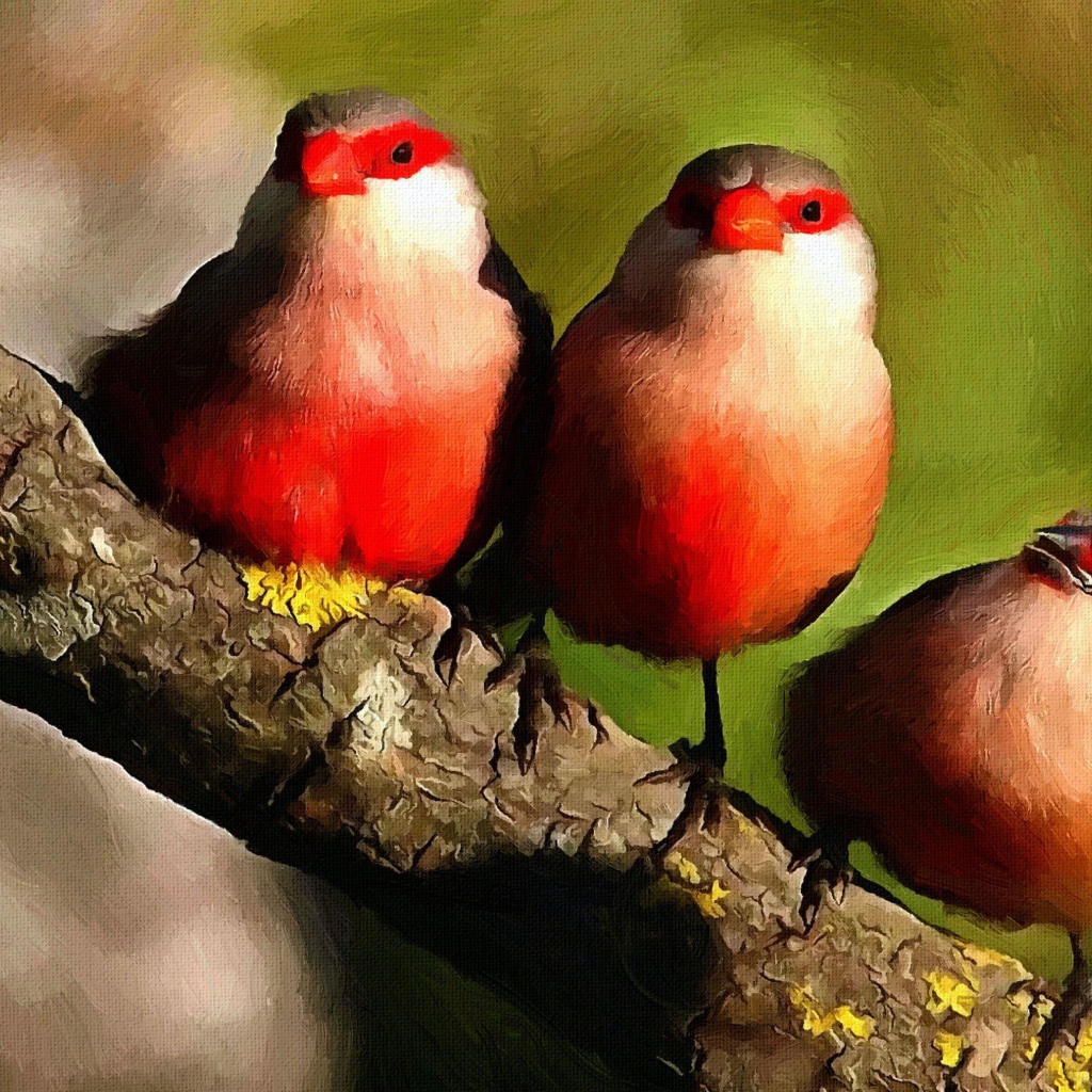 Три милых красных птицы на ветке дерева