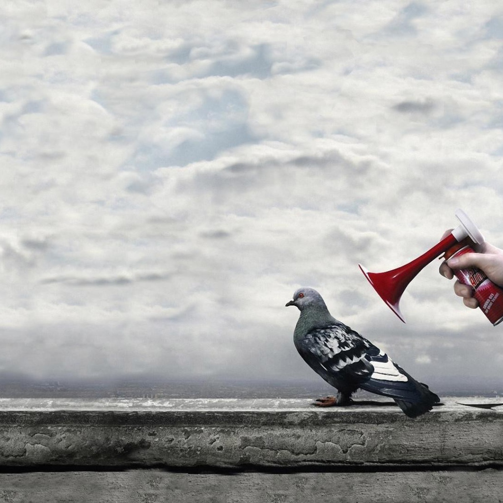 Гудок у уха городского голубя