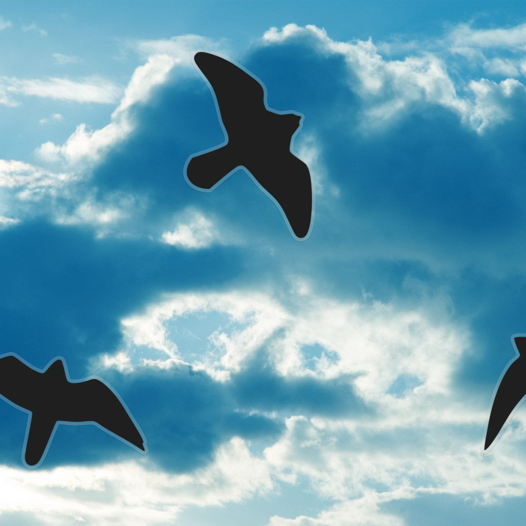 Силуэты птиц на небе