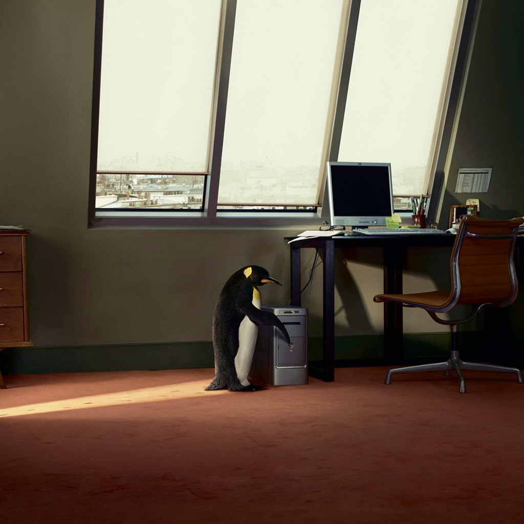 Пингвин и компьютер