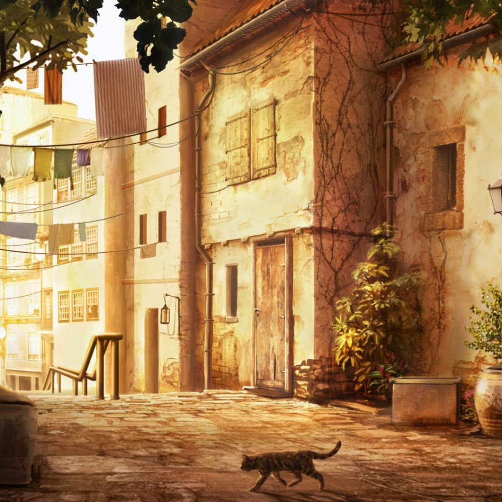 Кошка переходит дорогу