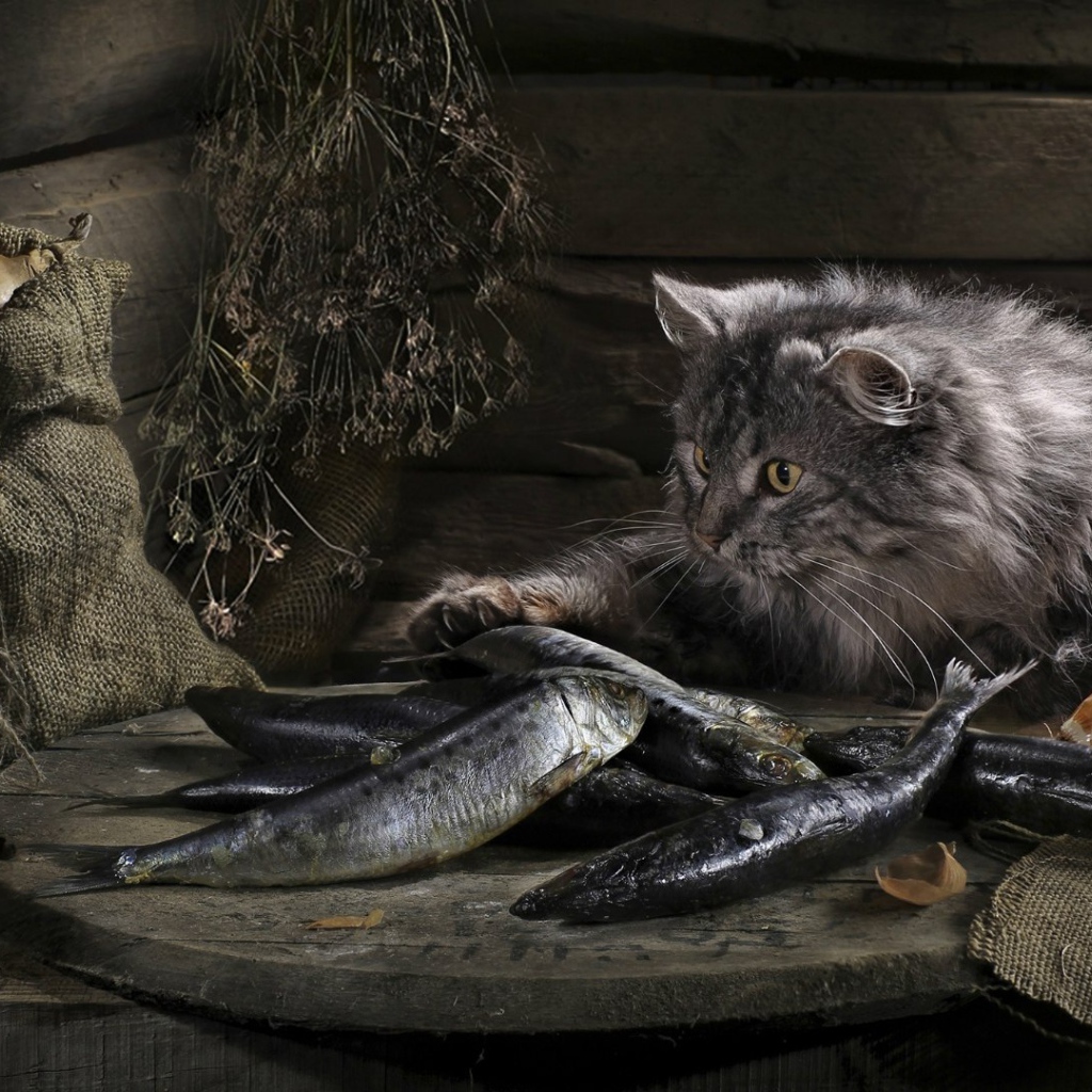 Кот нашел сокровище