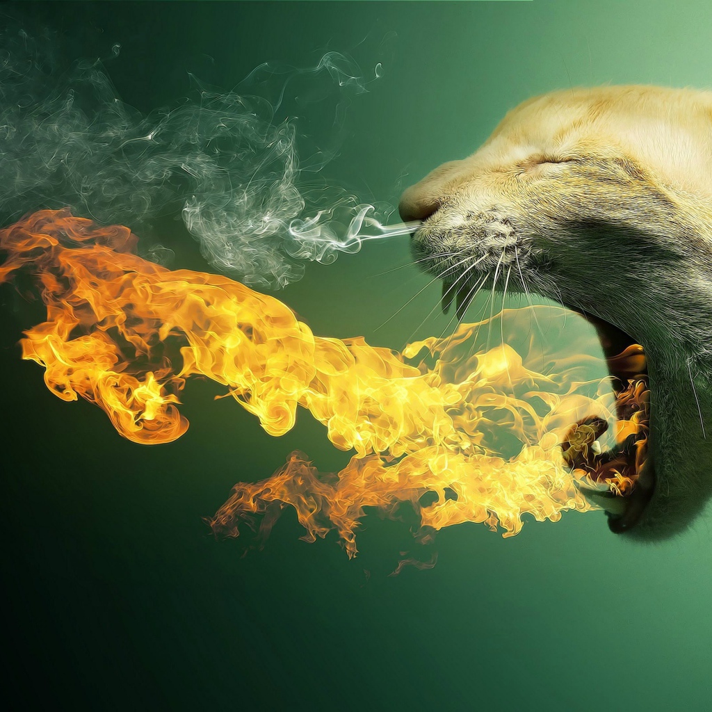 Кот изрыгает пламя