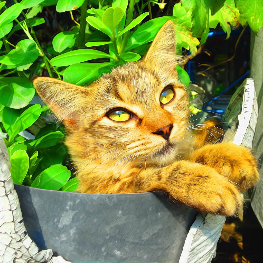 Милый рыжий кот на фоне зелени