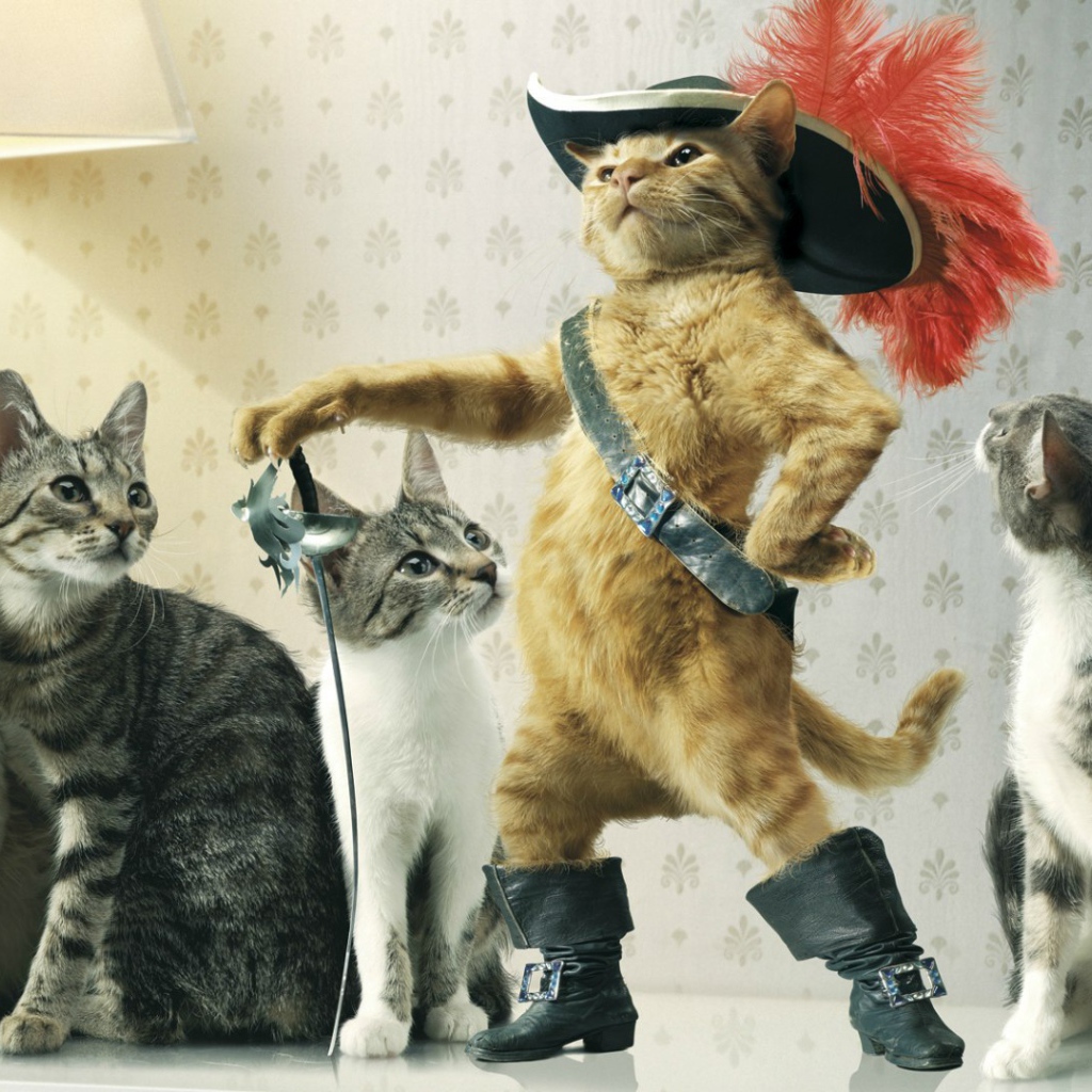 Коты с предводителем