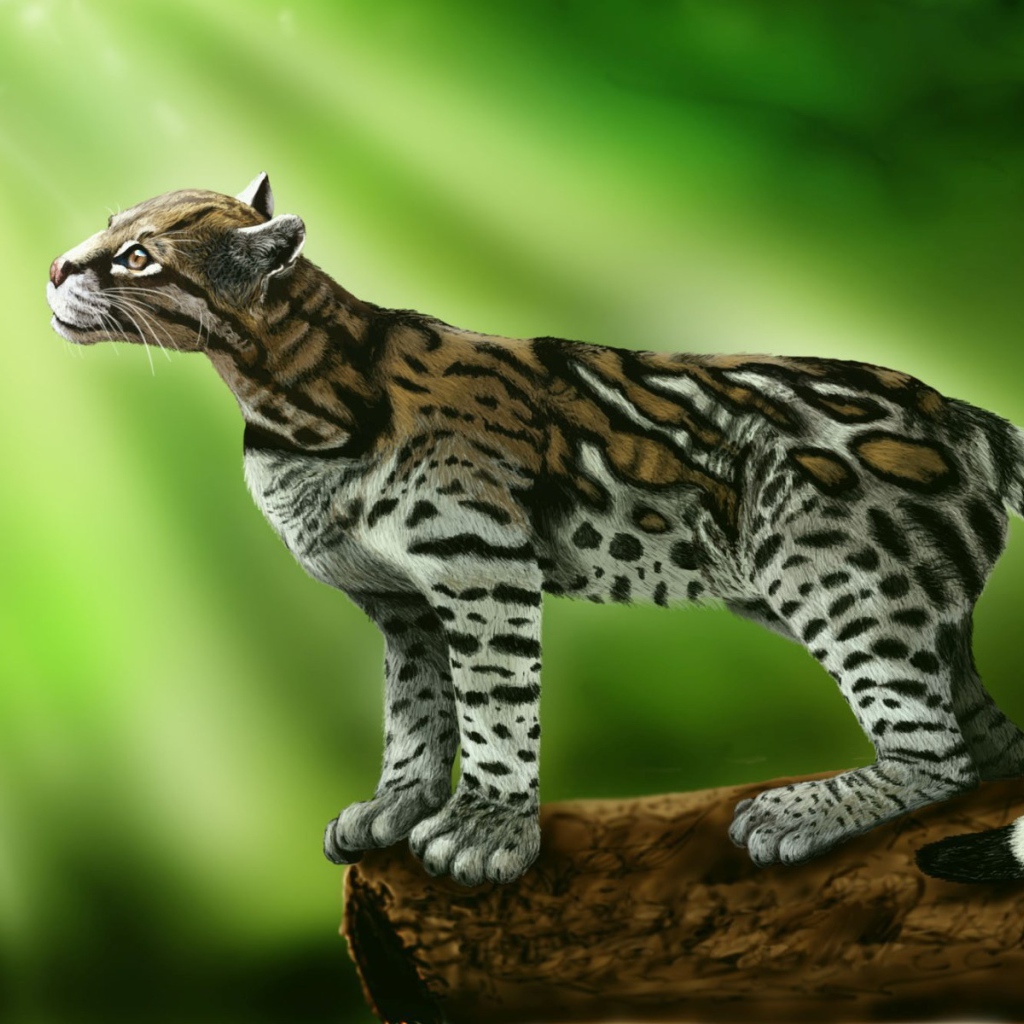 Кот оцелот стоит на зеленом фоне