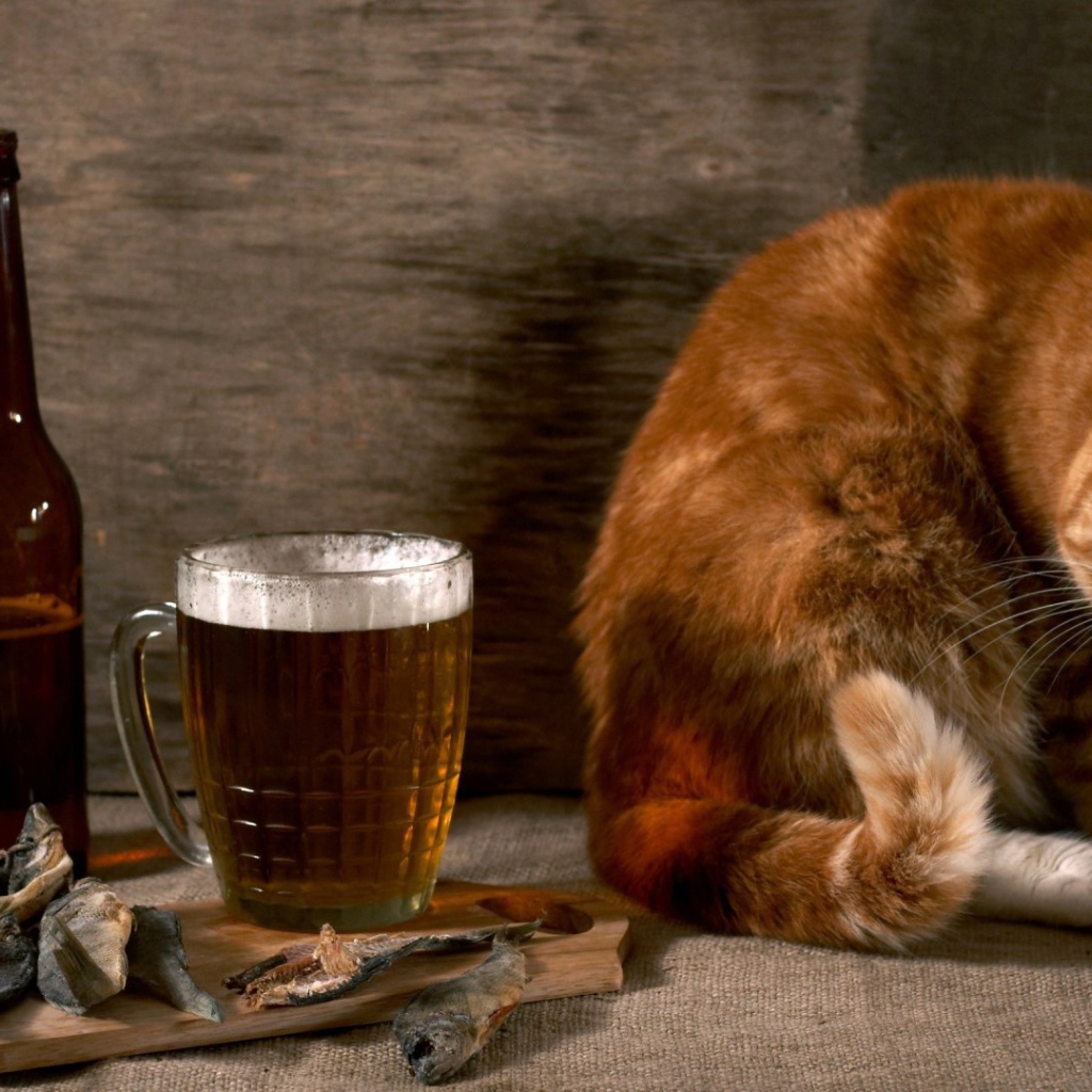 Рыжик тоже хочет пива