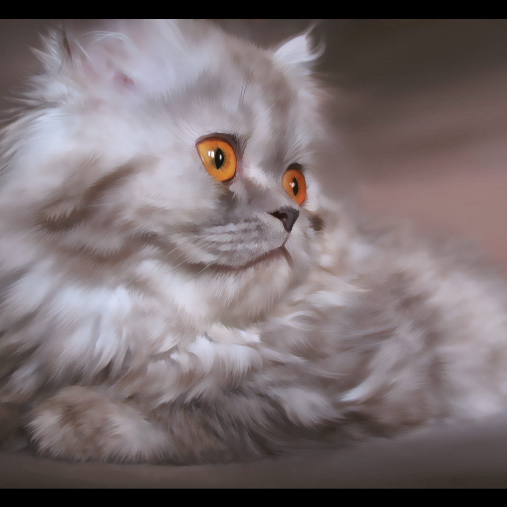 Серебристый  котенок