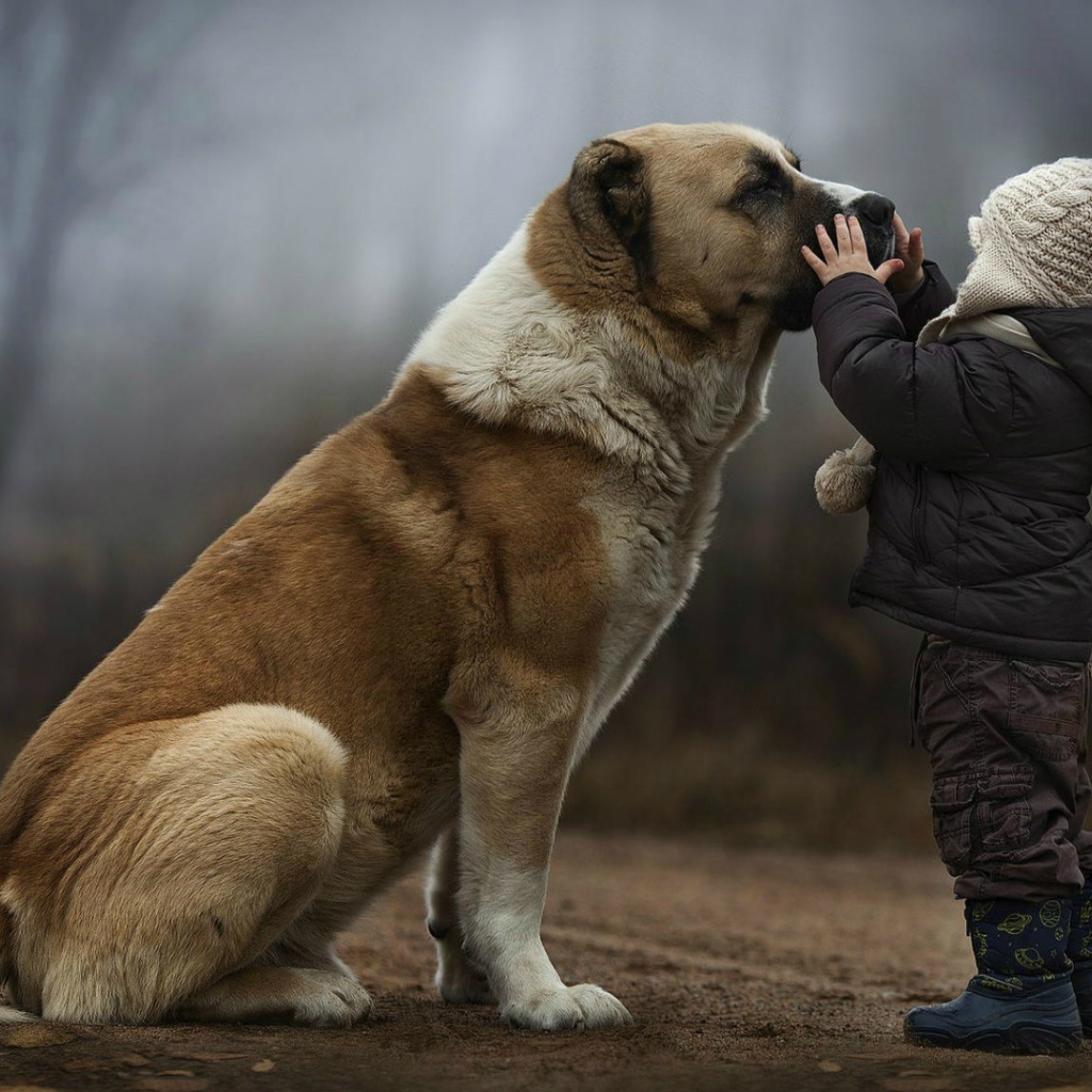 A child with a big dog