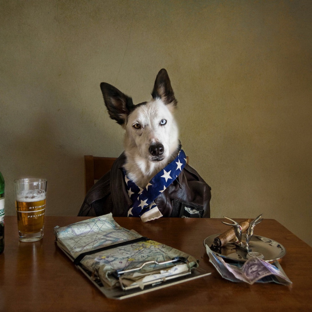 Собака за столом с пивом