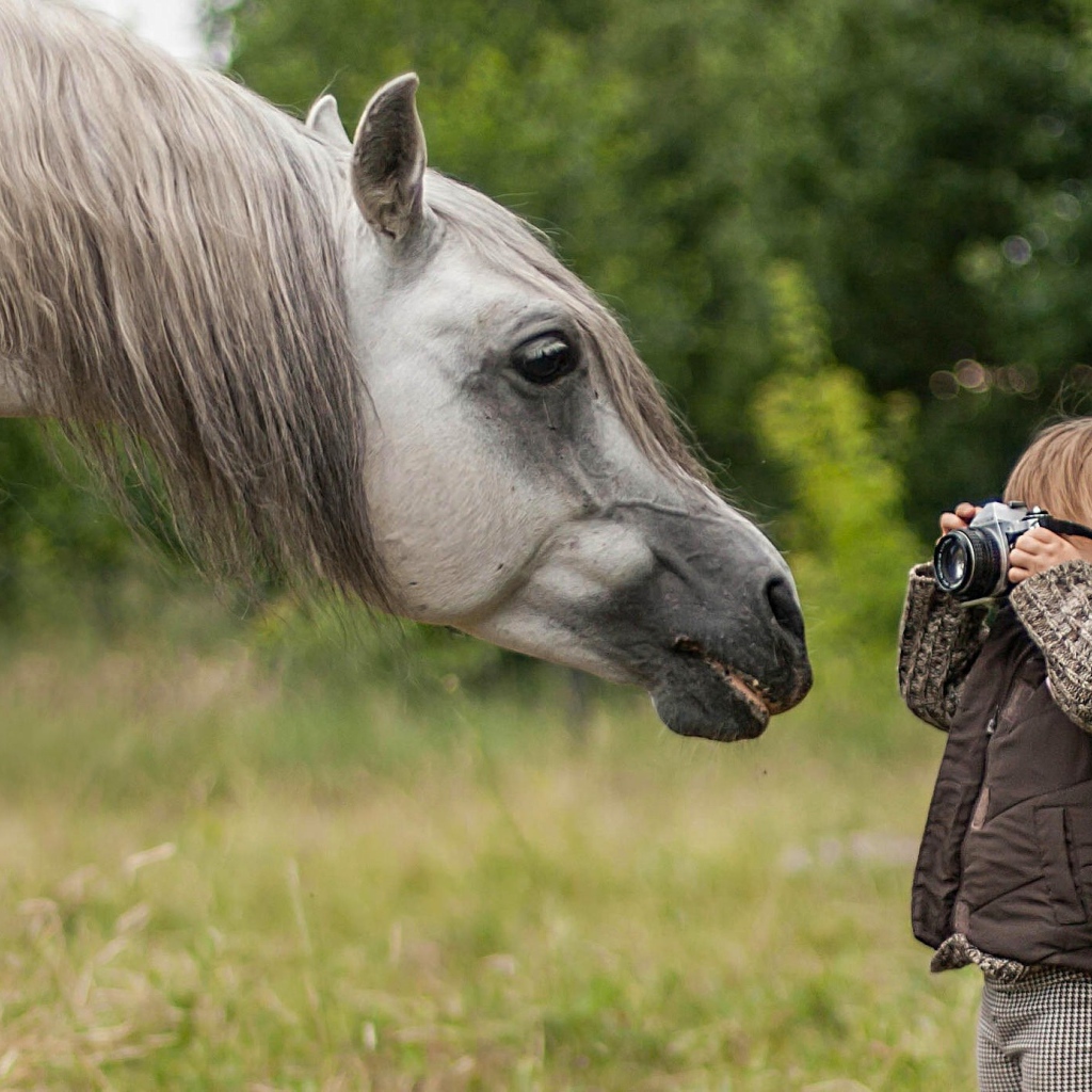 Мальчик фотографирует лошадь