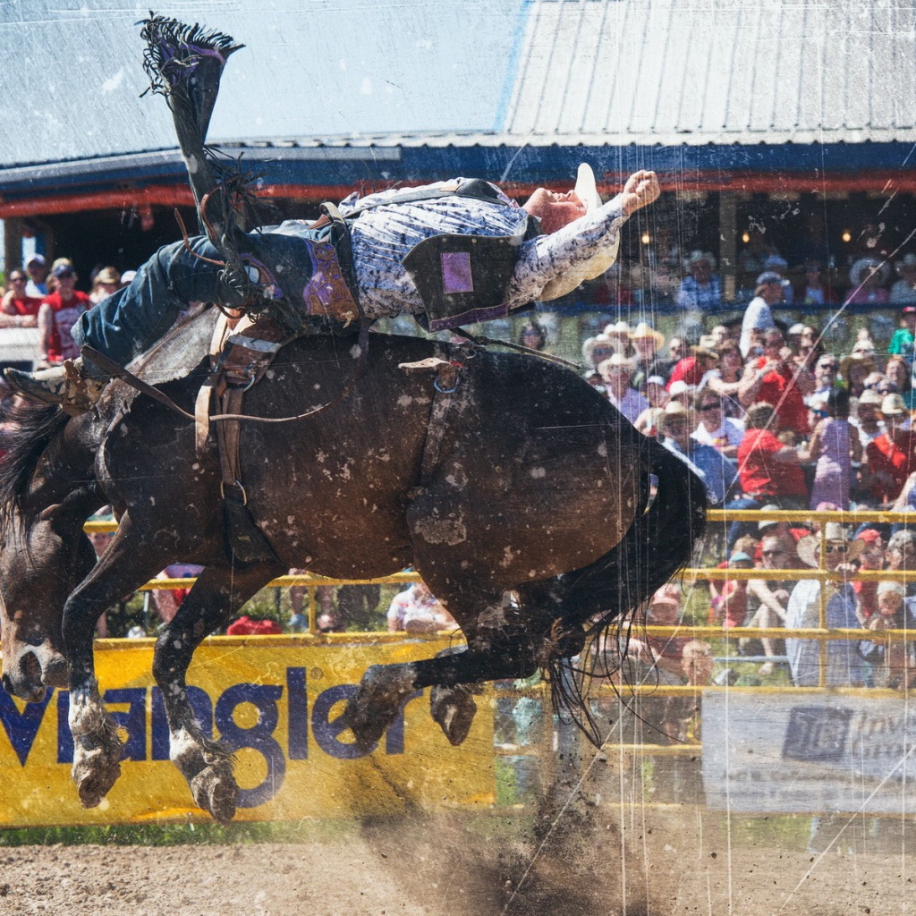Всадник на лошади во время родео