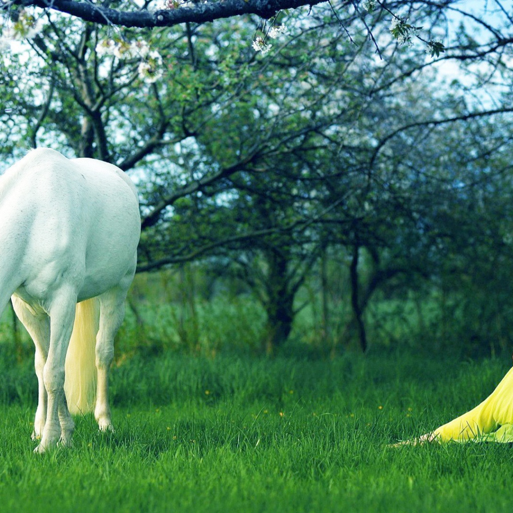 Белая лошадь и девушка в желтом платье