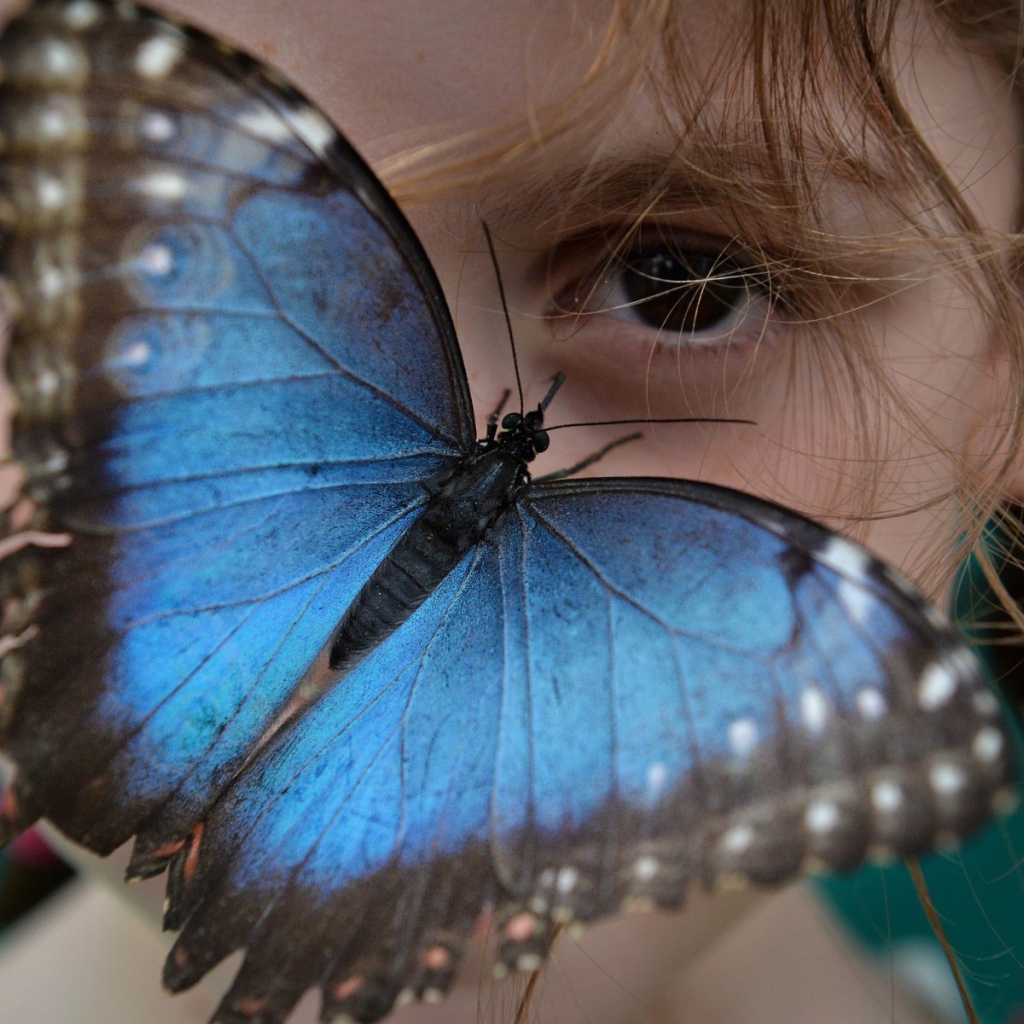Синяя бабочка на лице девочки
