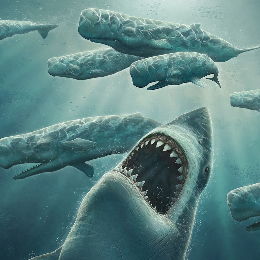 Охота зубастой акулы