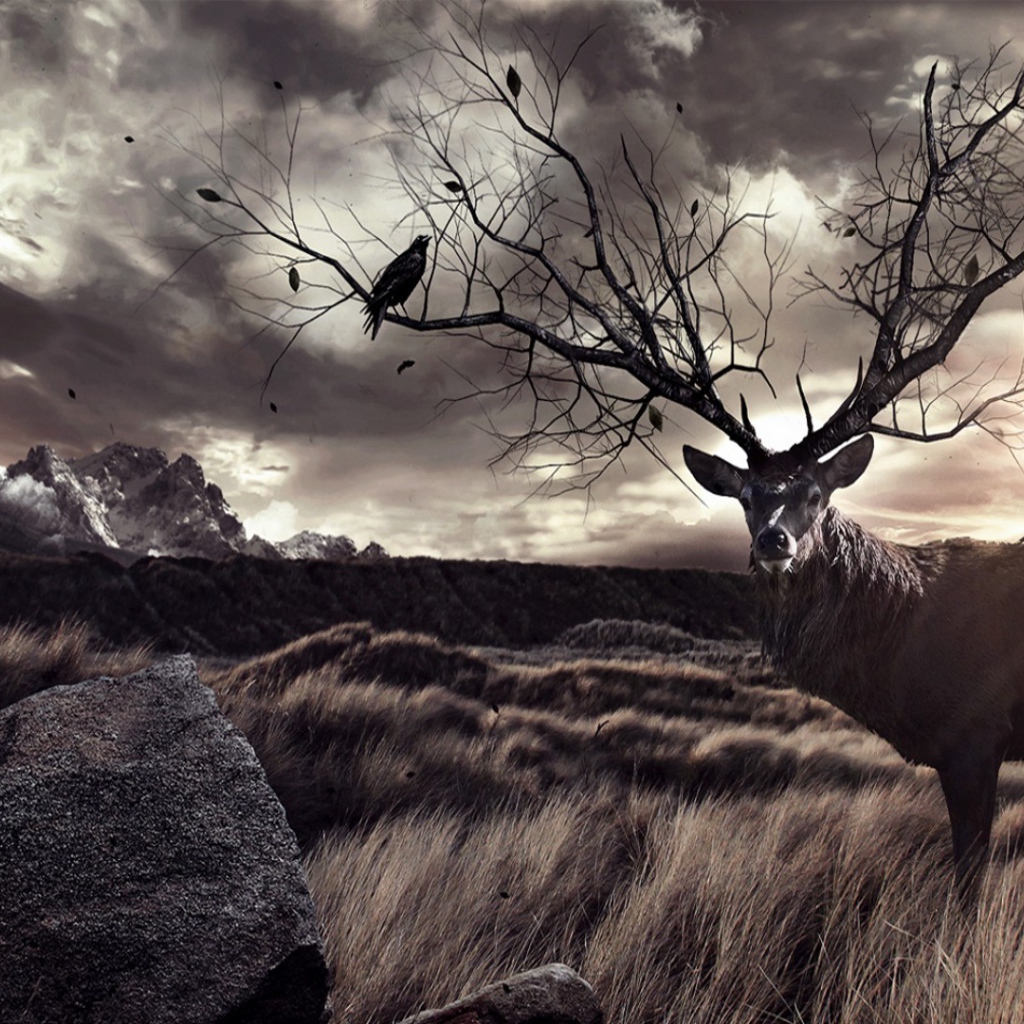 Птицы на ветвистых рогах оленя