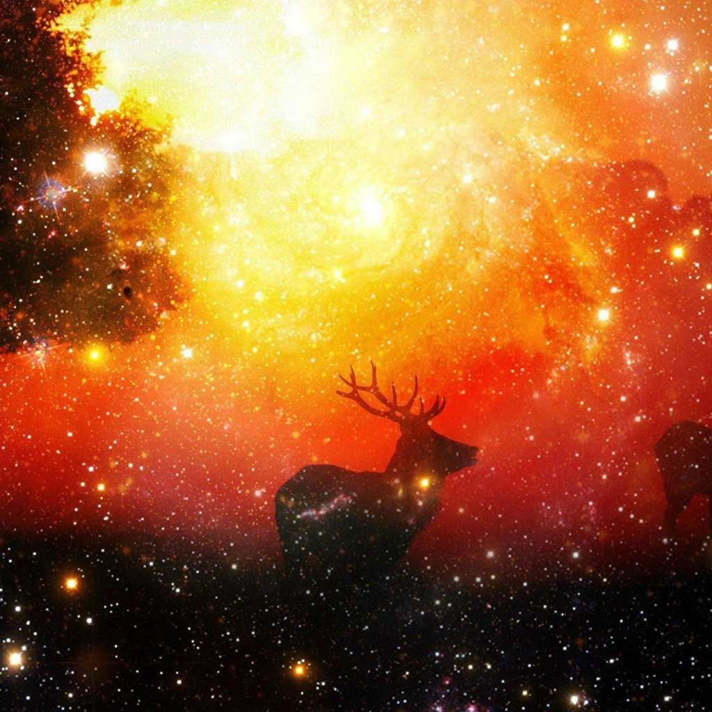 Олени среди звезд
