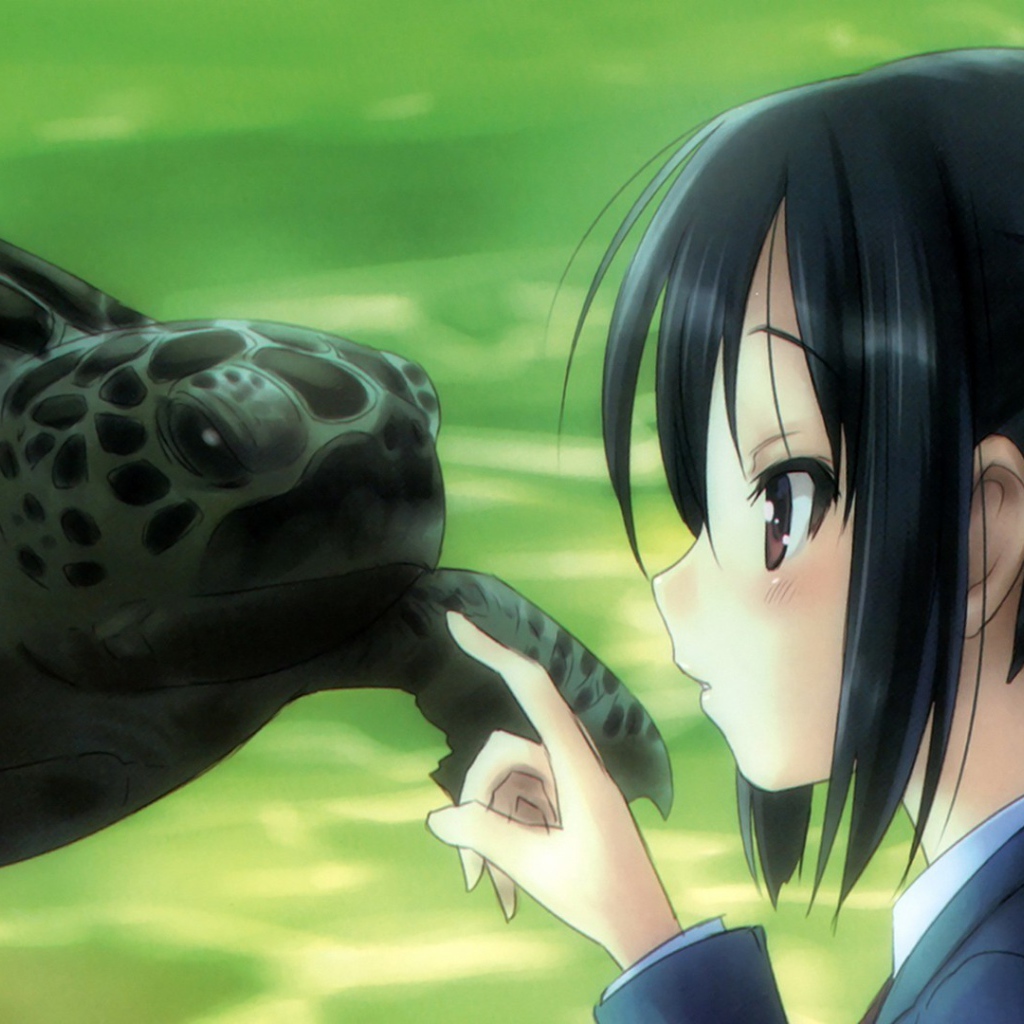 Девушка аниме и черепаха