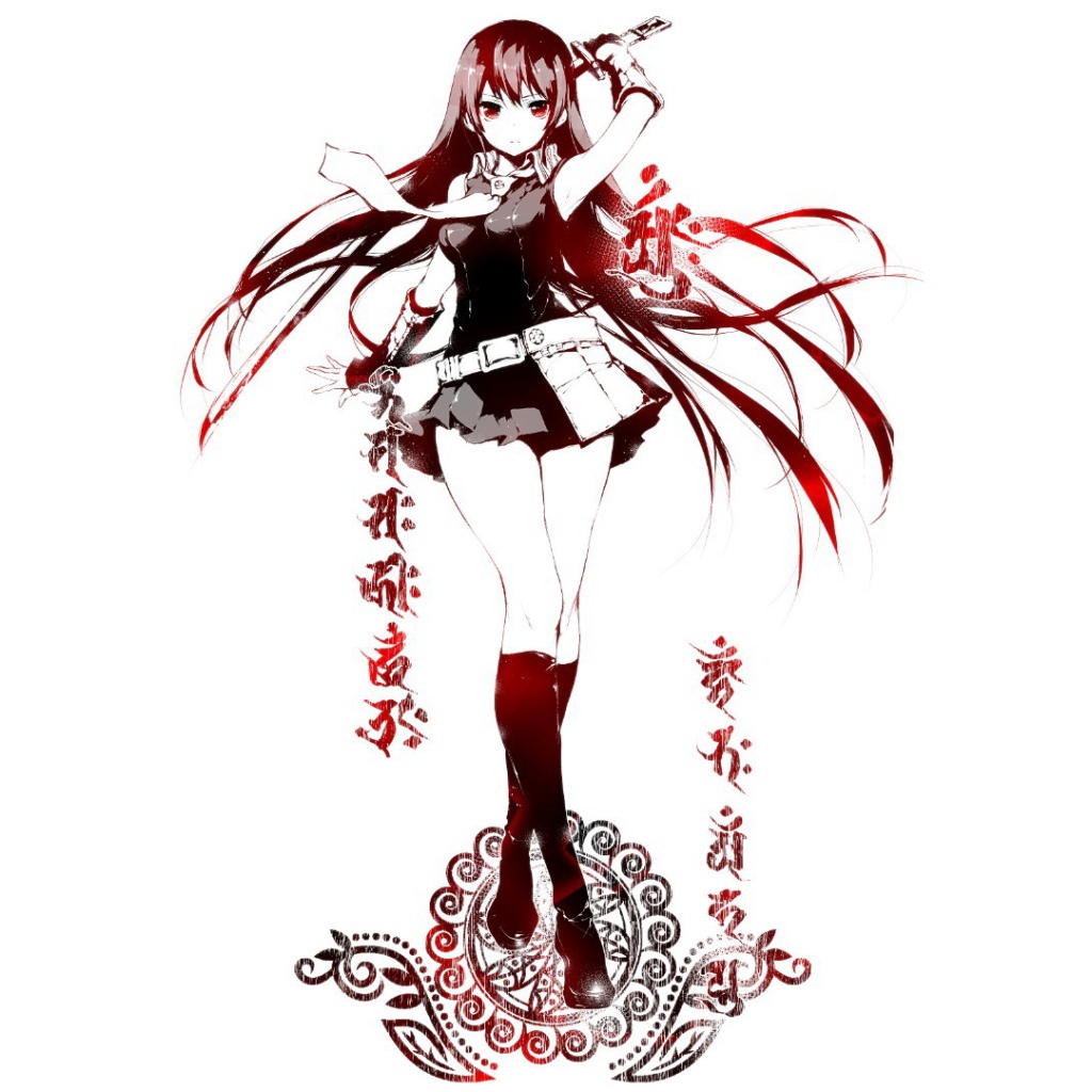 Девушка аниме Akame ga Kill