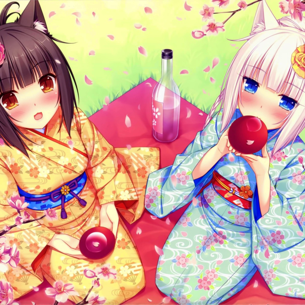 Аниме девушки на пикнике, Neko Para