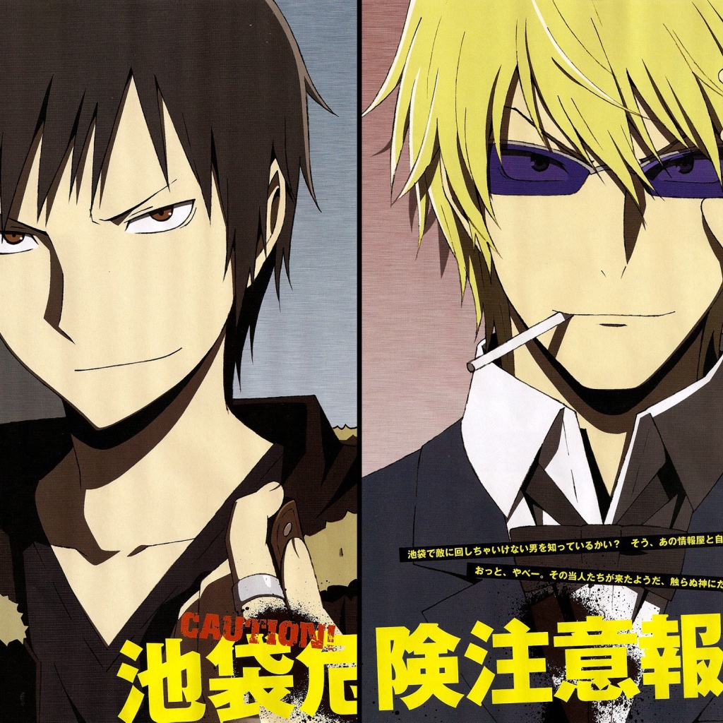 Книга аниме Дюрарара!!