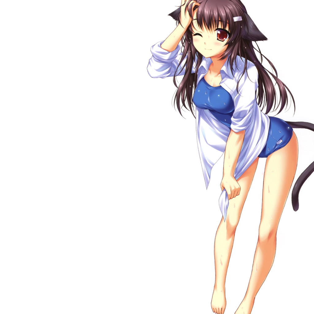 Девушка кошка, аниме Neko Para