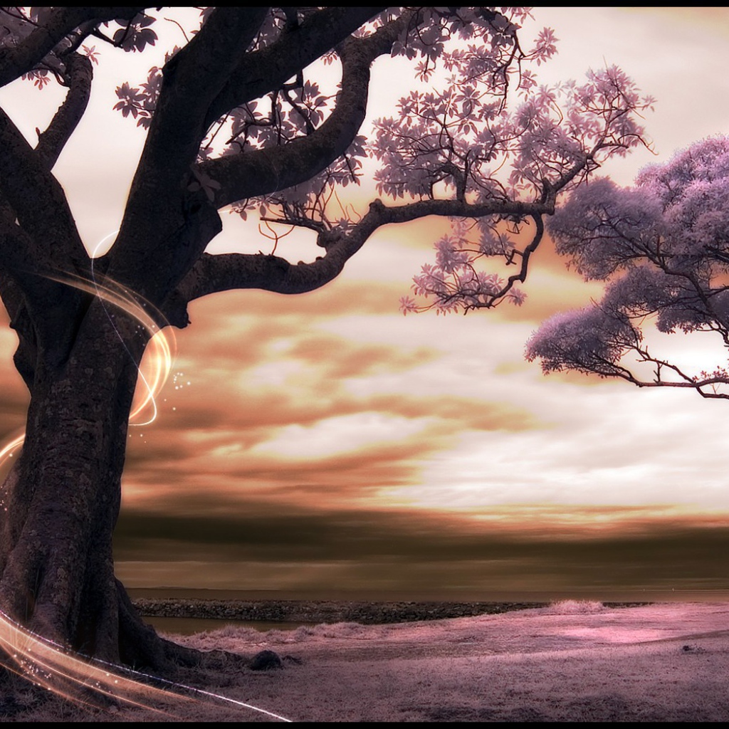 Сказочный сад в мире аниме