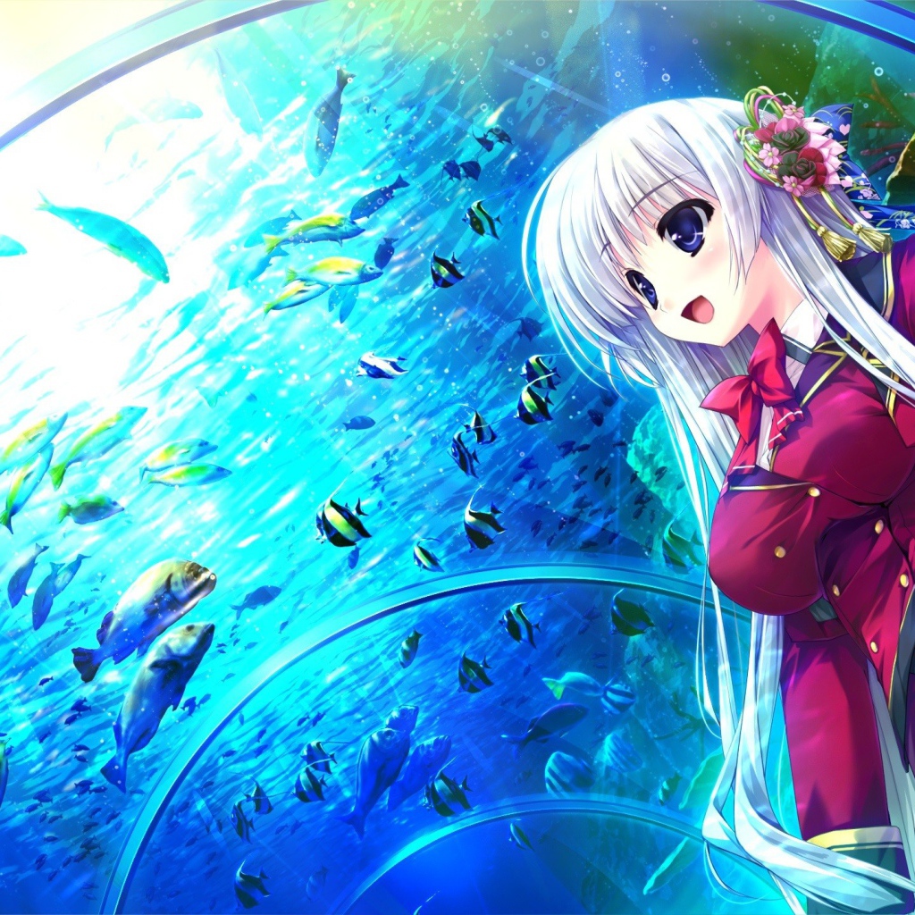 Девушка в океанариуме в аниме Натюрморт в серых тонах