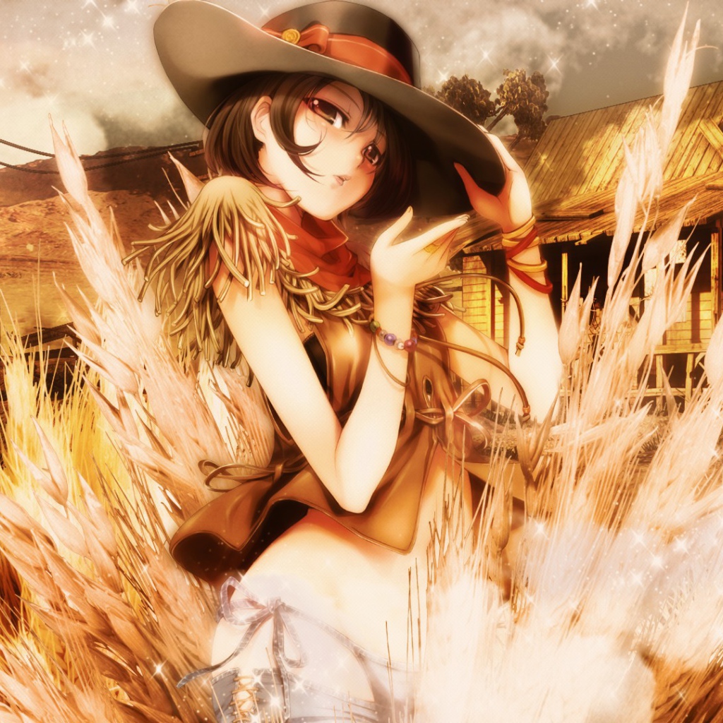 Девушка в шляпе, манга аниме