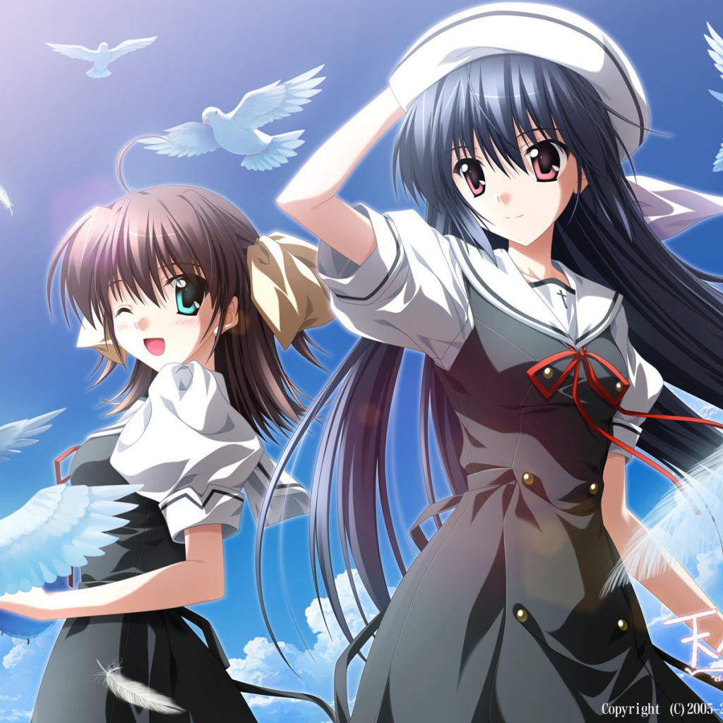 Девушки и голуби в аниме Эф - история воспоминаний