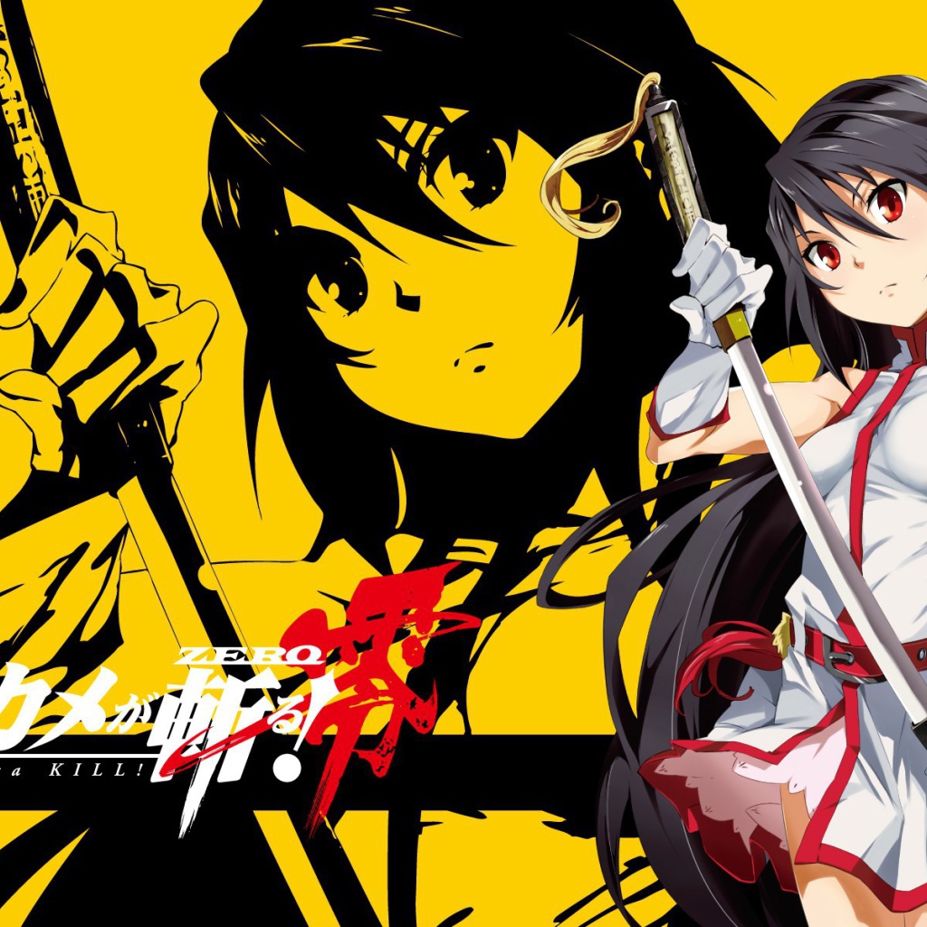 Японское аниме Akame ga Kill