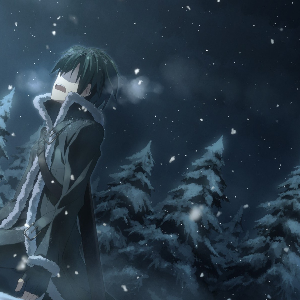 Одинокий герой аниме Sword Art Online