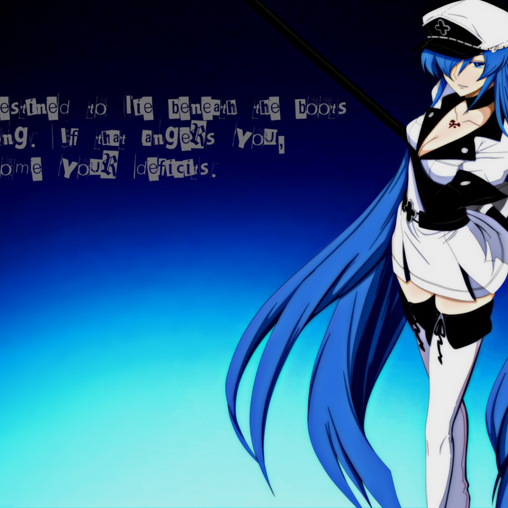 Длинные синие волосы, аниме Akame ga Kill
