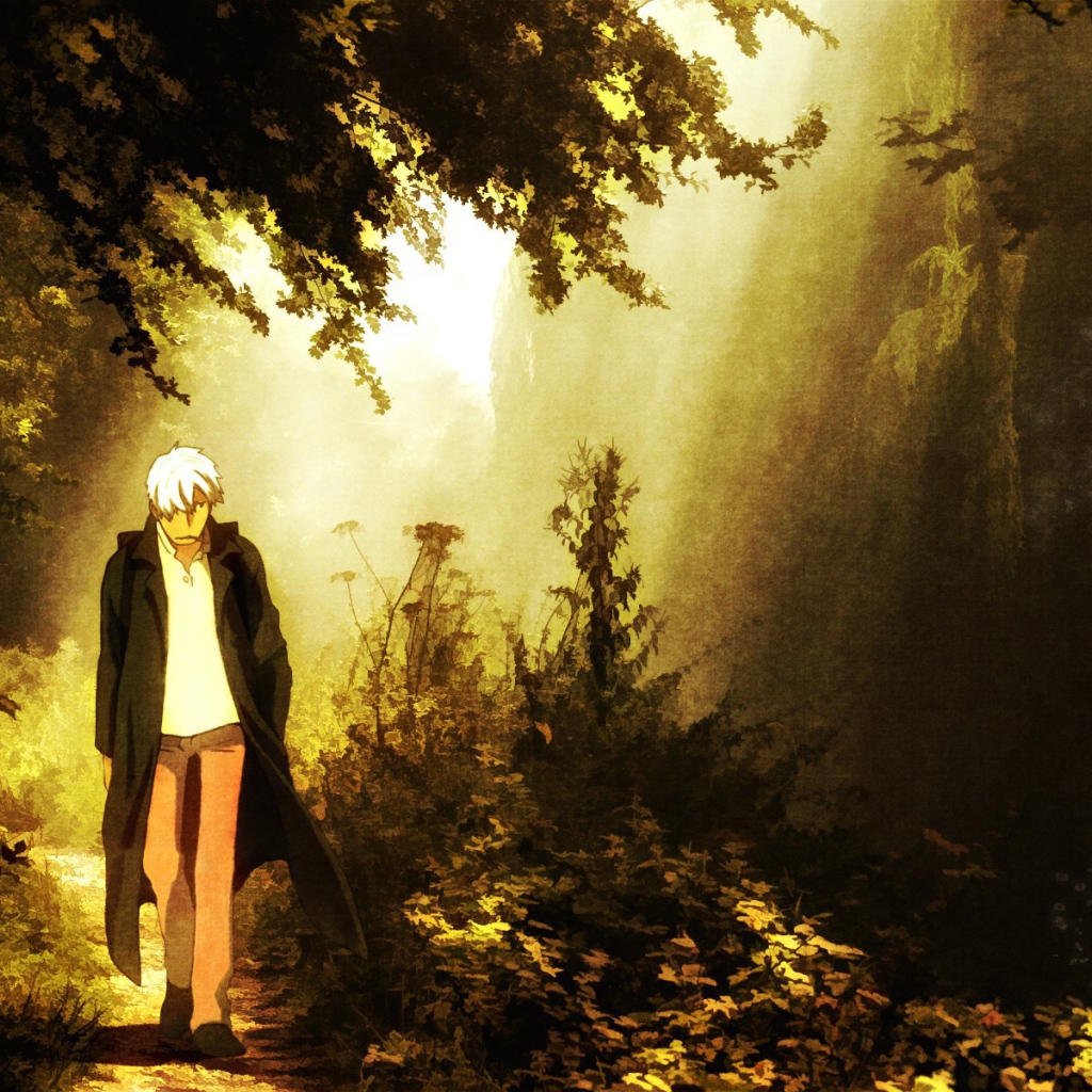 Парень идет по лесу, аниме Мастер Муси