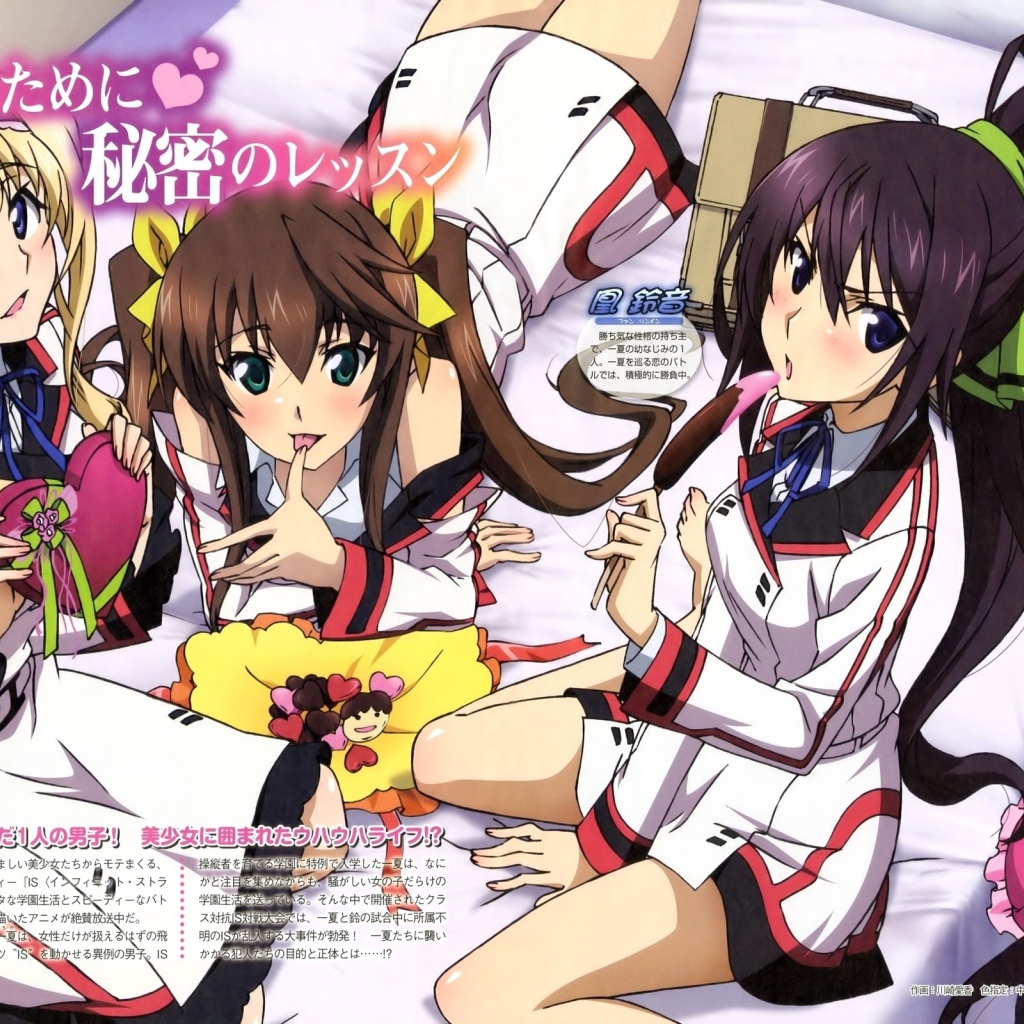 Манга аниме Infinite Stratos