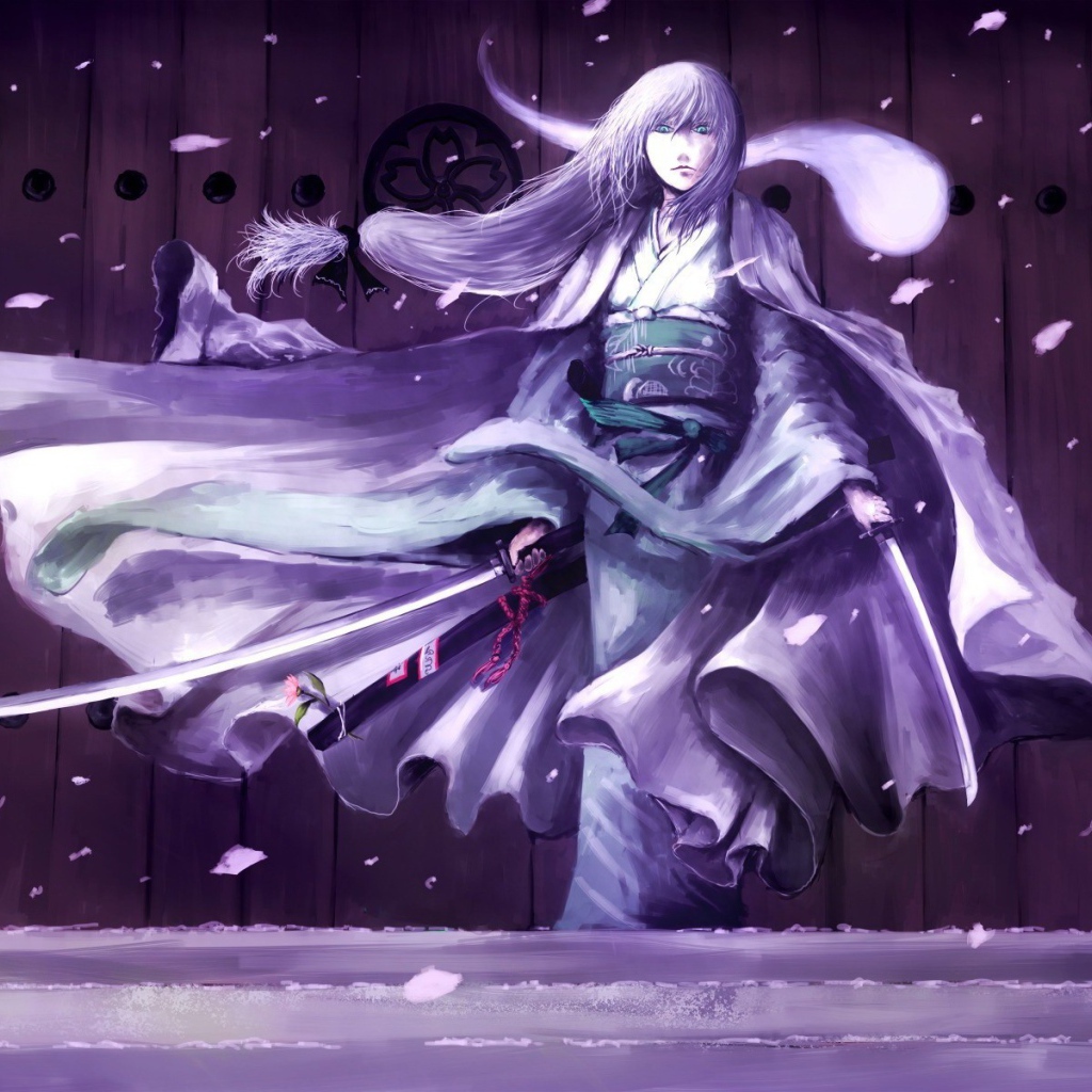 Девушка самурай, аниме