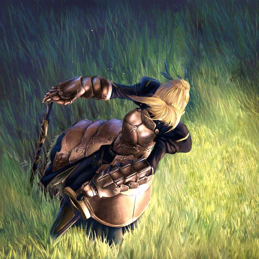 Тайп Мун в поле, аниме Ночь прибытия