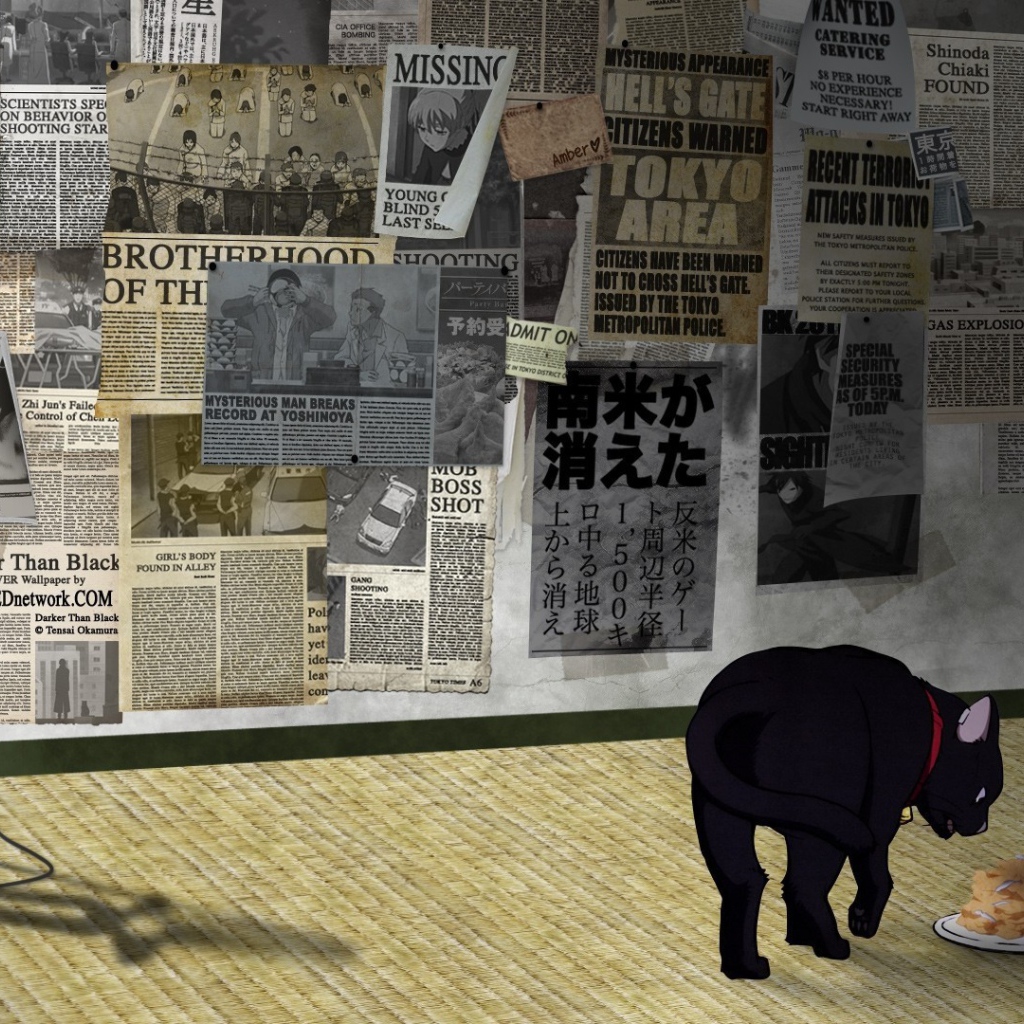 Кот в аниме Темнее черного