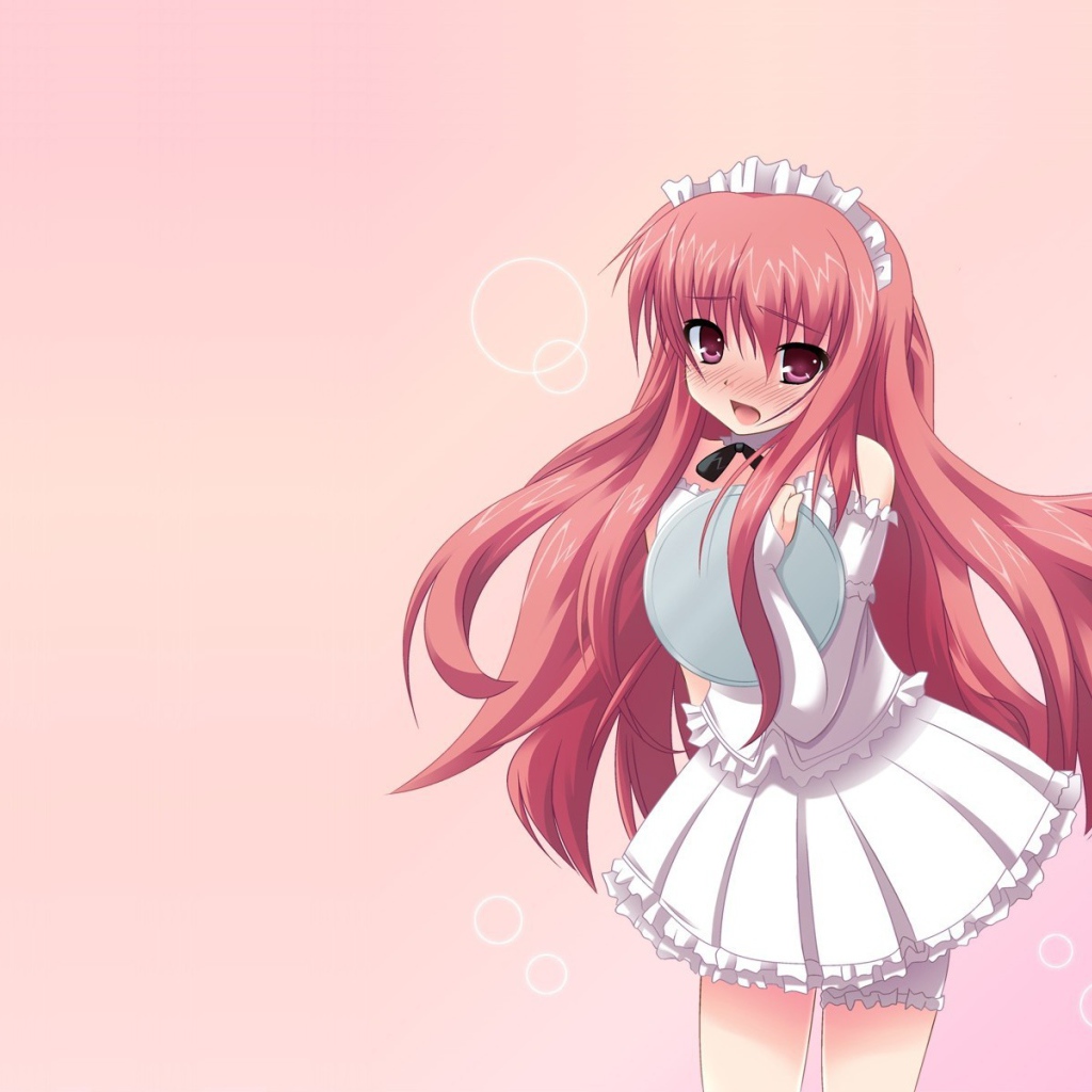 Девушка из аниме Подручный Луизы-Нулизы