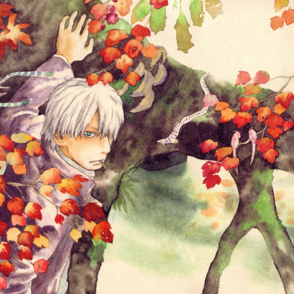 Главный герой аниме Мастер Муси