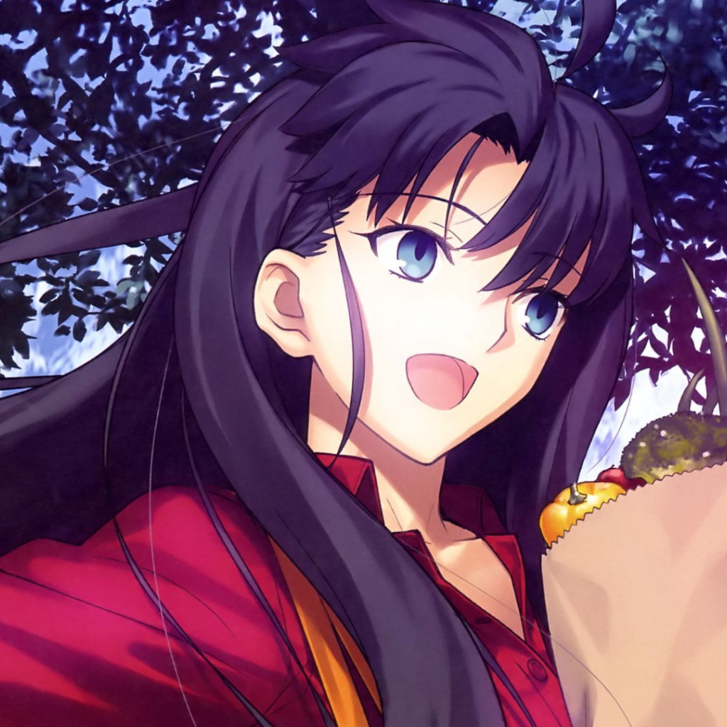 Тосака Рин, аниме Ночь прибытия