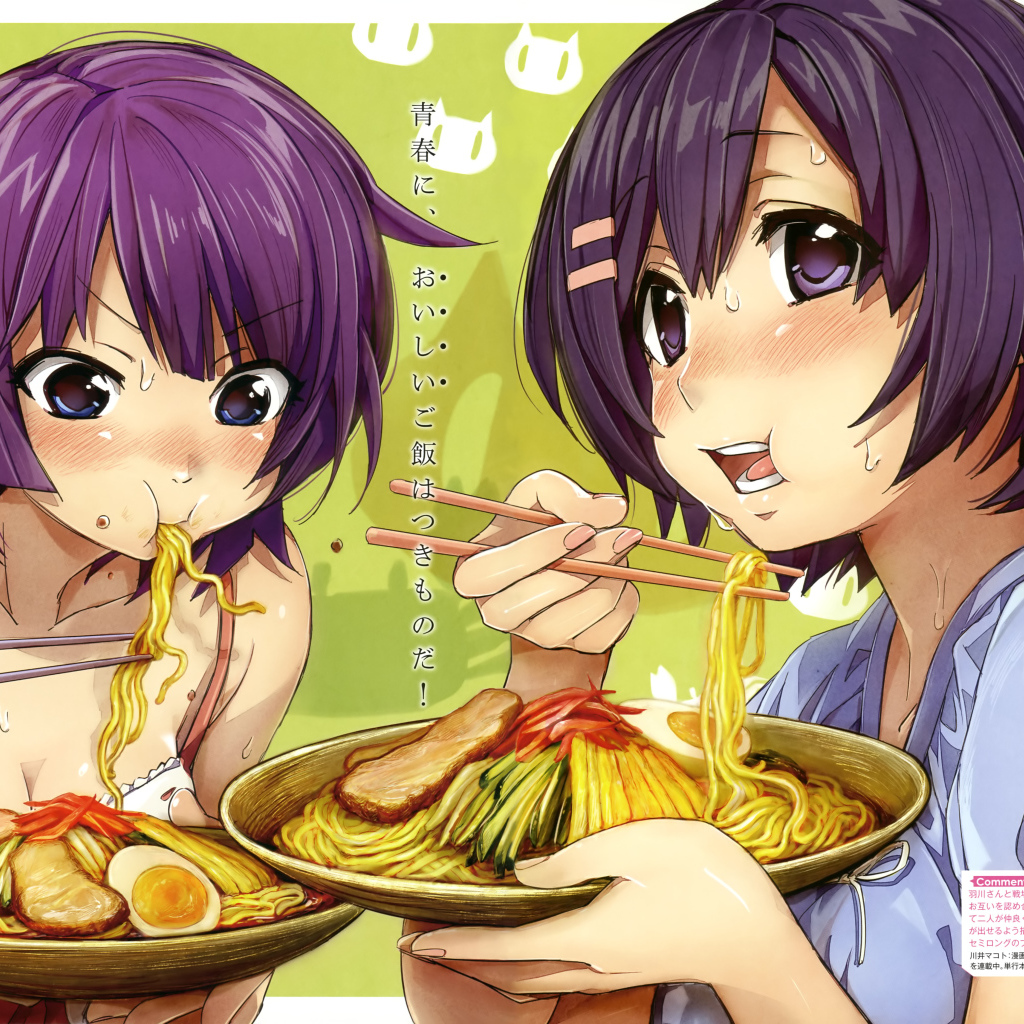 Две подружки в аниме Monogatari Series