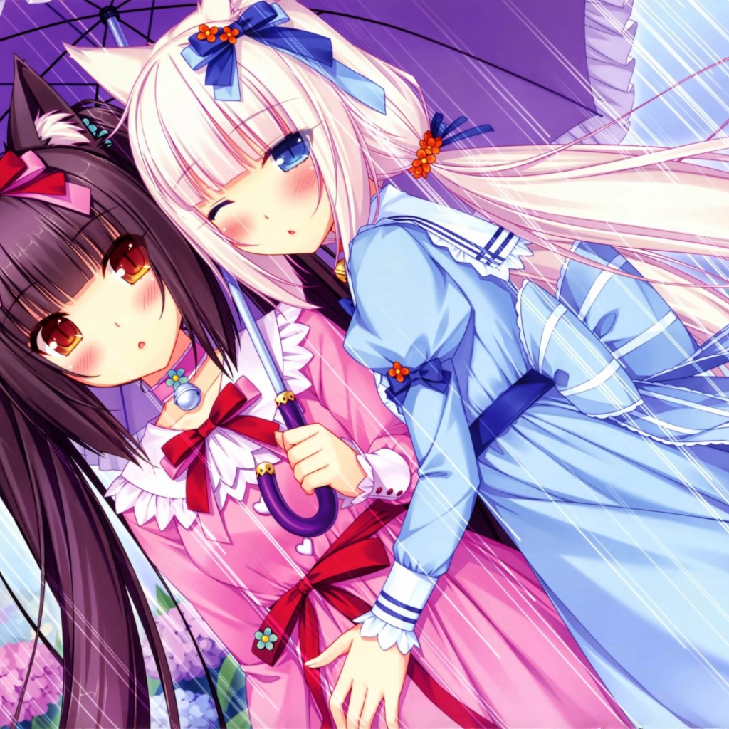 Две подружки под зонтом, аниме Neko Para