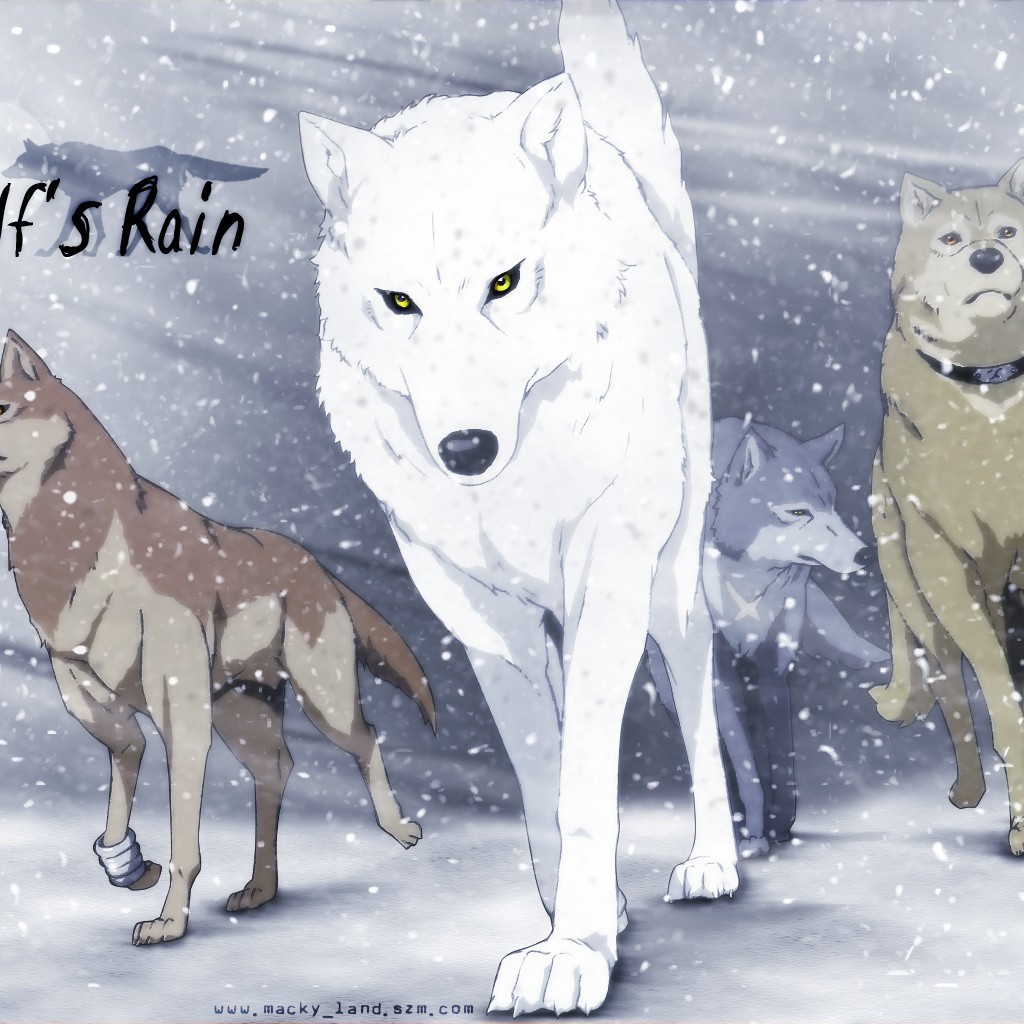 Волки в аниме Wolf's Rain