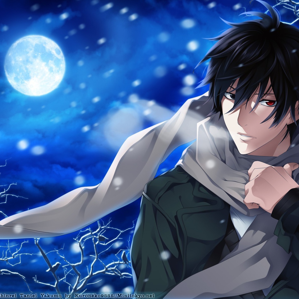 Якумо из аниме Shinrei Tantei Yakumo