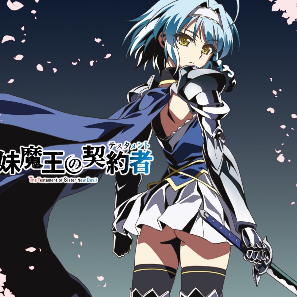 Юкки Нонака из аниме По велению адской сестры