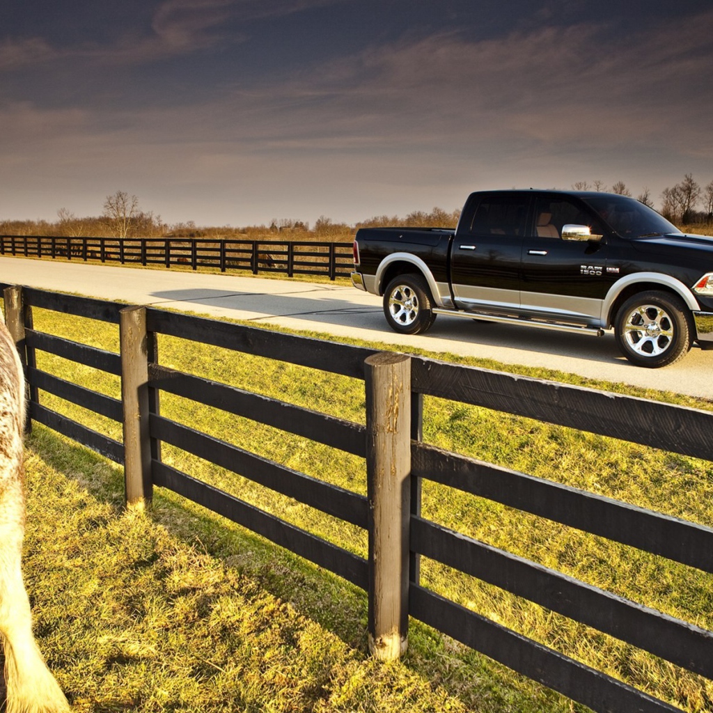 Черный пикап на ферме среди загонов