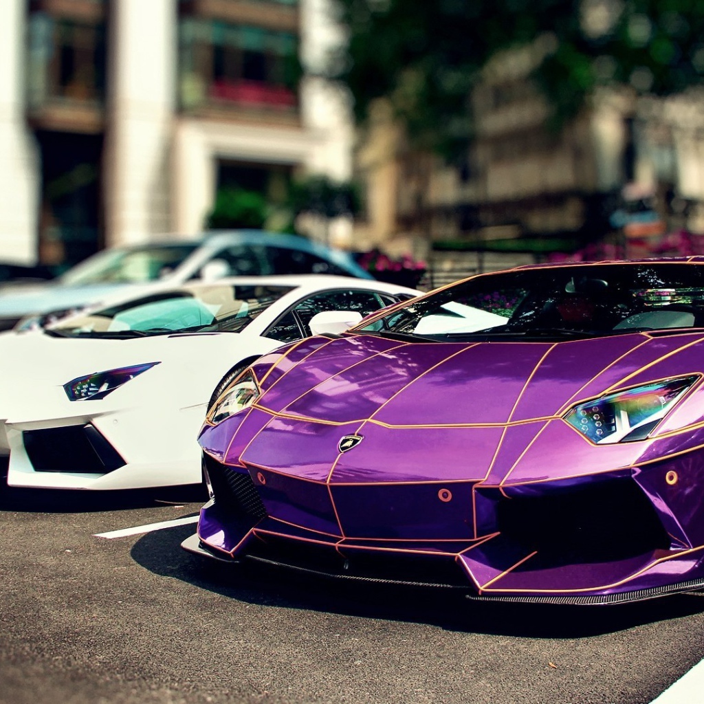Сиреневый и белый Ламборгини