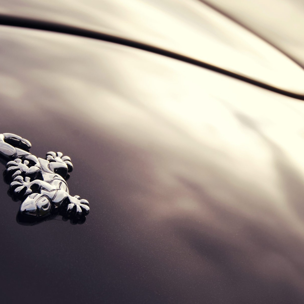 Логотип авто Wiesmann